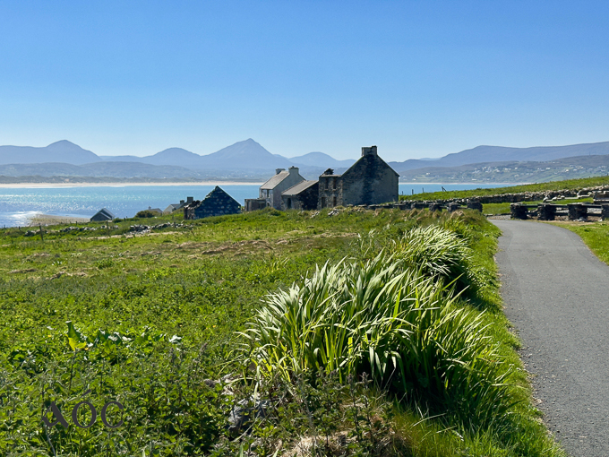 Donegal 4